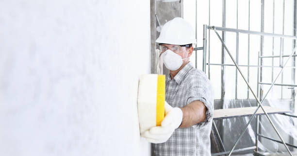 Best Mold Remediation for Healthcare Facilities  in Lacoste, TX